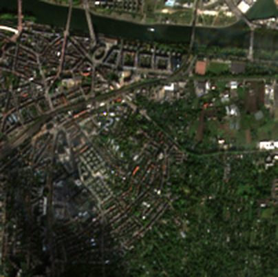 latest scene